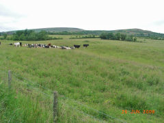 
Lower Varteg Colliery site, June 2008